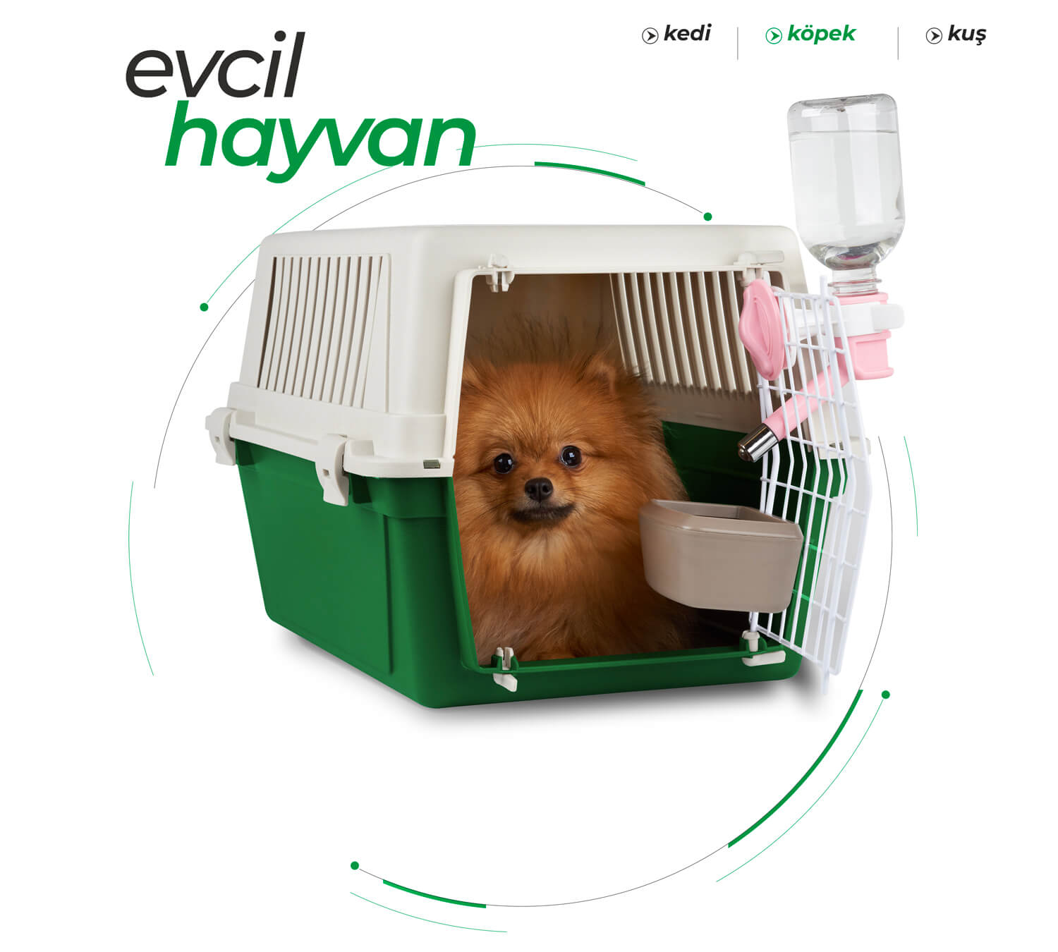 Gelal Evcil Hayvan
