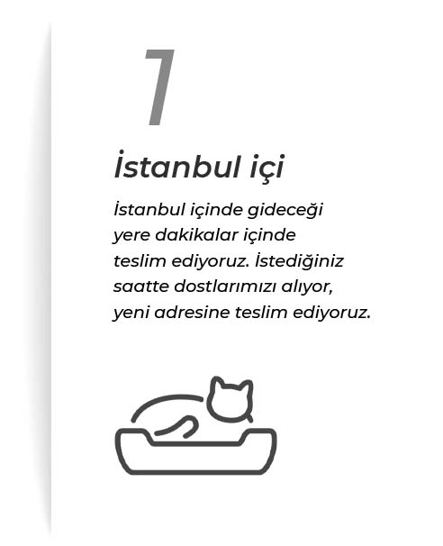 İstanbul İçi