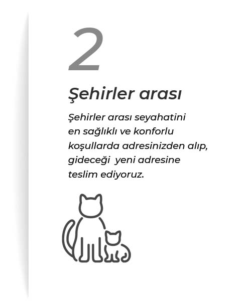 Şehirler Arası