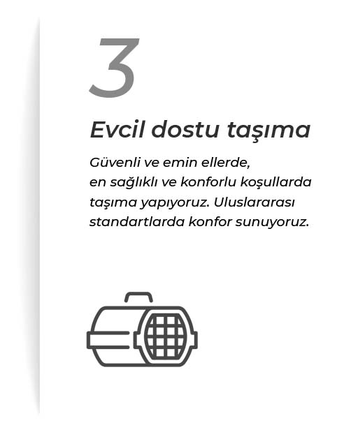 Evcil Dostu Taşıma